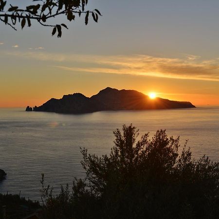 Il Nido Del Gabbiano Massa Lubrense Exterior foto