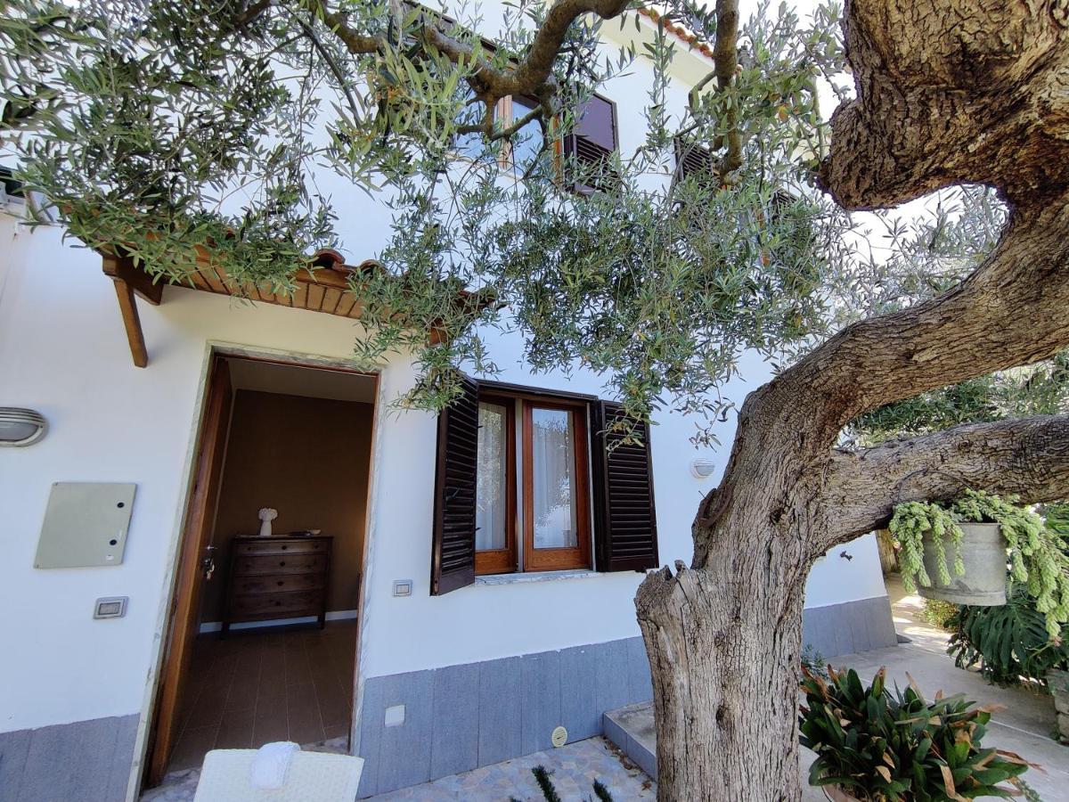 Il Nido Del Gabbiano Massa Lubrense Exterior foto