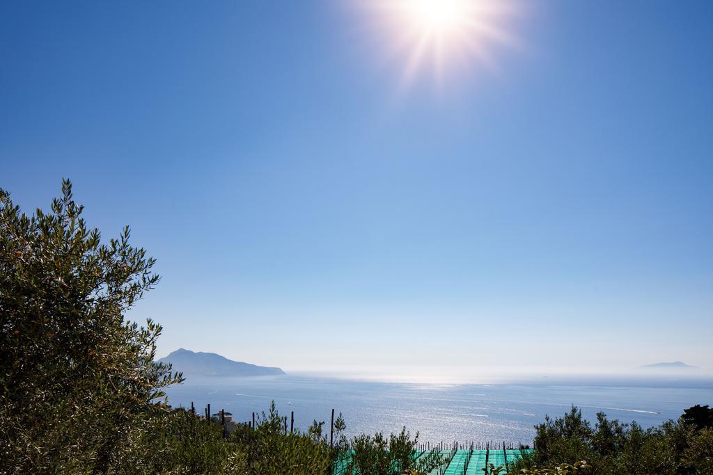 Il Nido Del Gabbiano Massa Lubrense Exterior foto