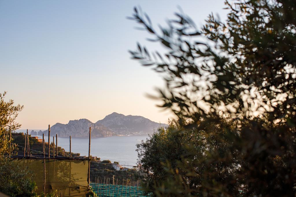 Il Nido Del Gabbiano Massa Lubrense Exterior foto